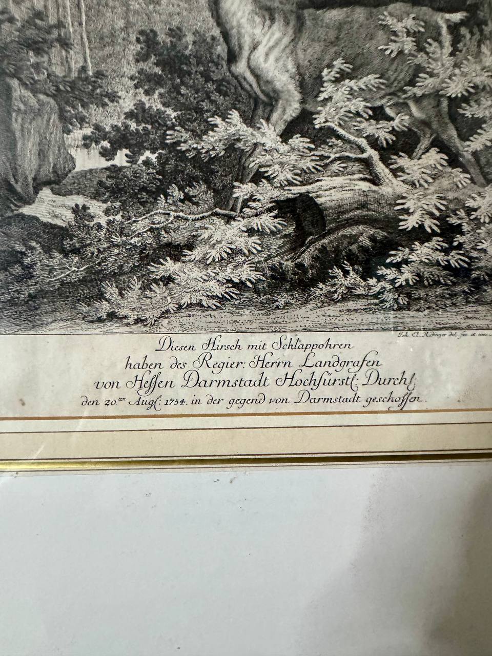 Hirsch mit Schlappohren – Erlegtes Wildtier des Landgrafen von Hessen-Darmstadt, 1754 – Kupferstich nach Johann Elias Ridinger — Inschrift