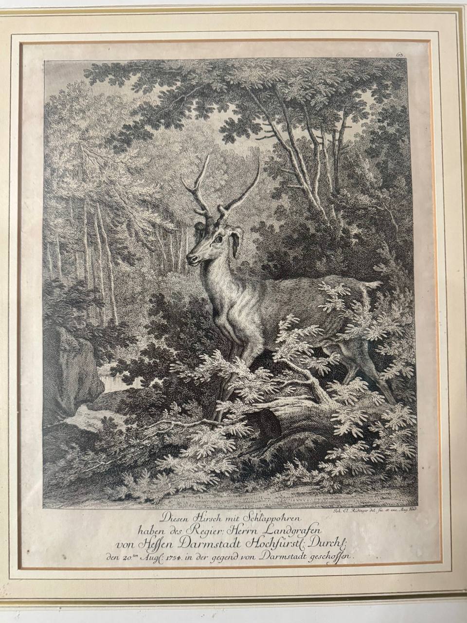 Hirsch mit Schlappohren – Erlegtes Wildtier des Landgrafen von Hessen-Darmstadt, 1754 – Kupferstich nach Johann Elias Ridinger — Vorderseite