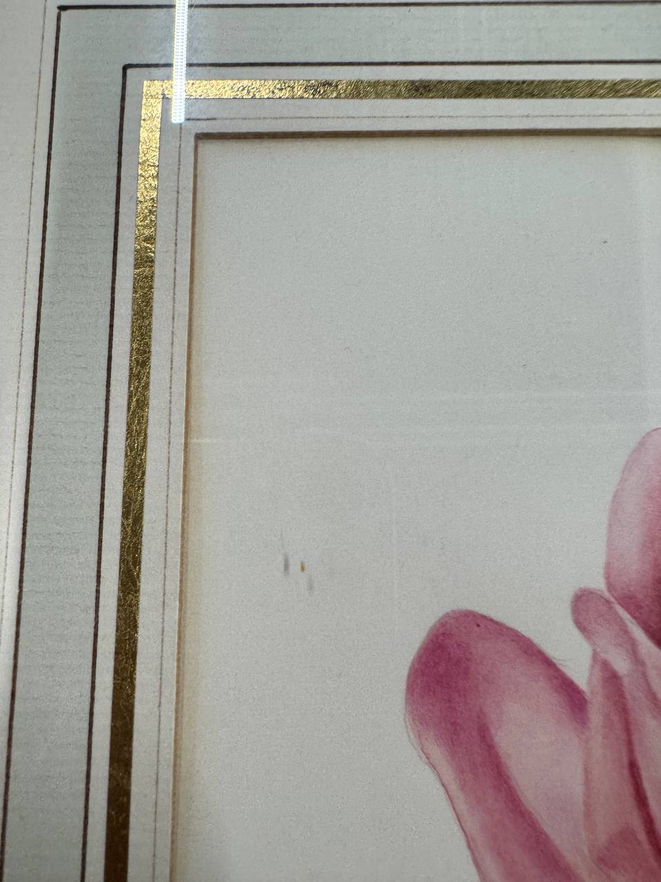 Rosa Rose — Aquarell von Elisabeth Gasser-von Gunten, Langnau a/A — Rahmen