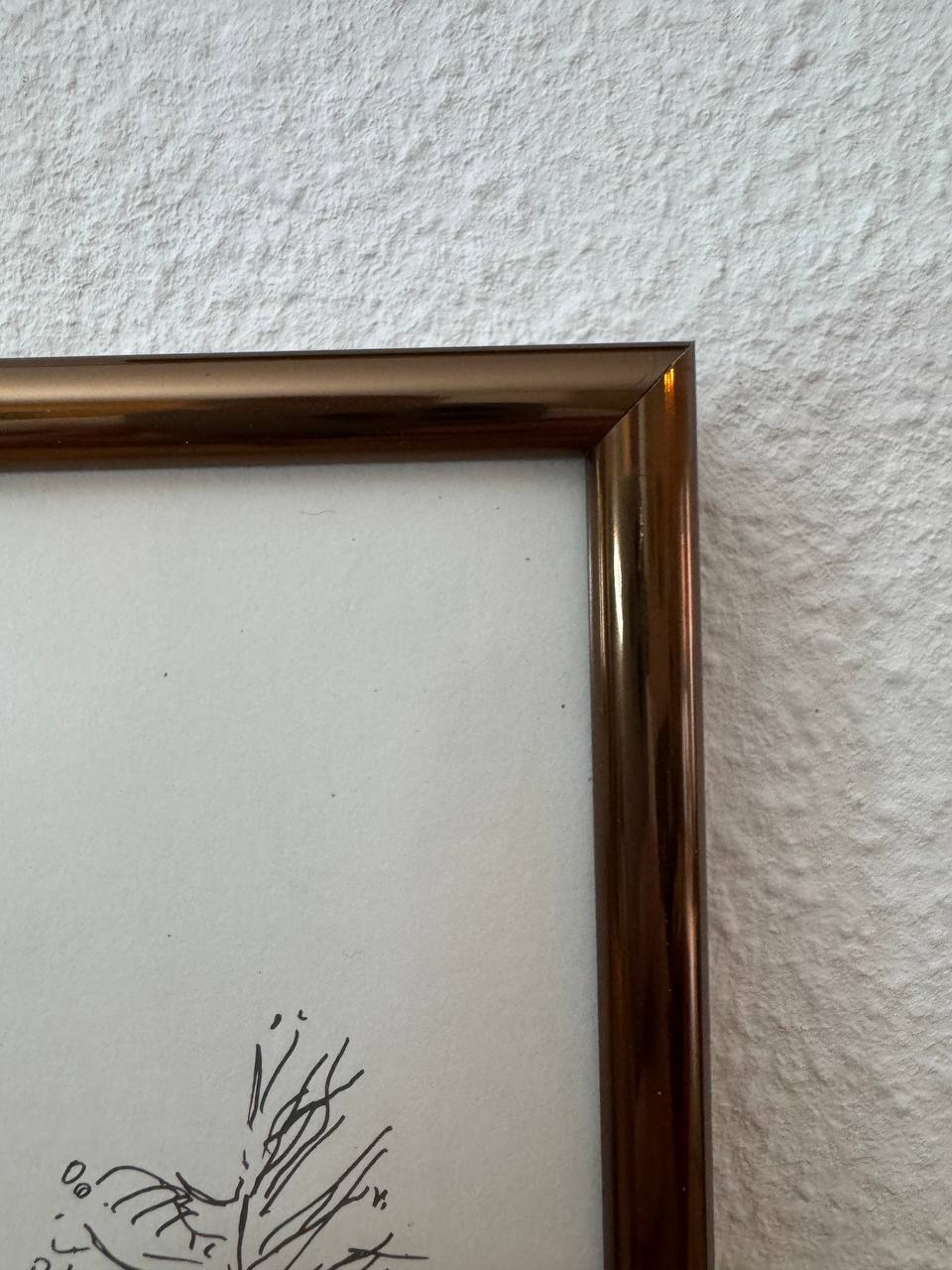 Unbekannte Schweizer Vedute — Rahmen