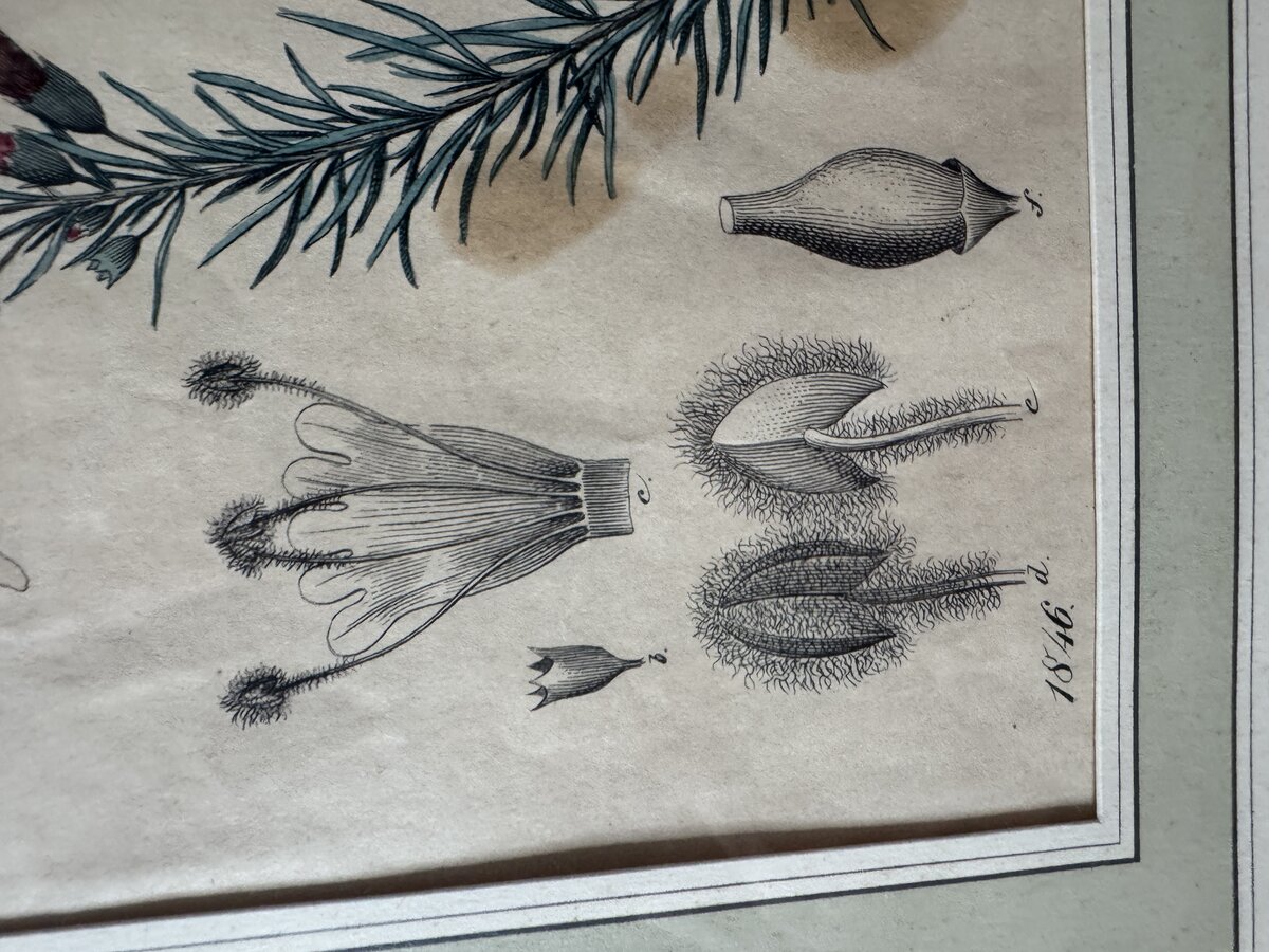 Inschrift