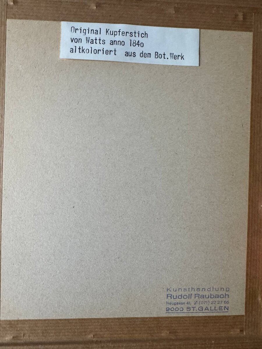 Rückseite