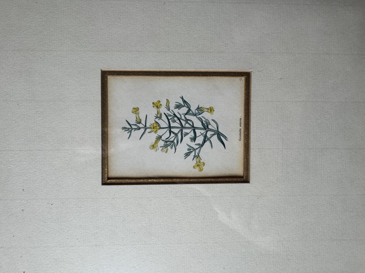 Inschrift