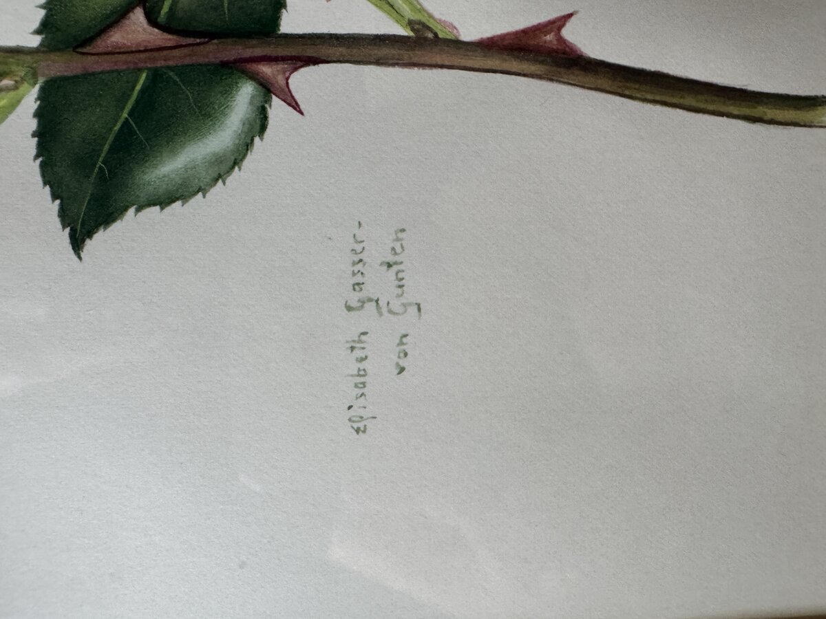 Signatur