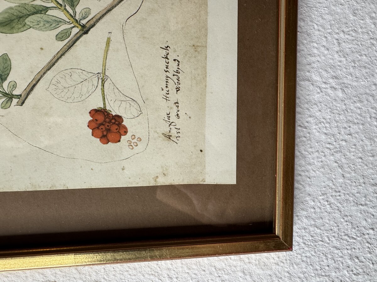 Inschrift