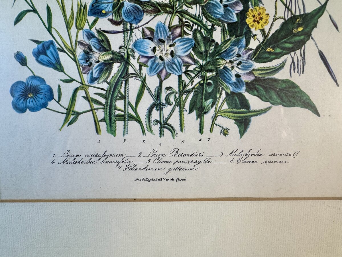 Inschrift